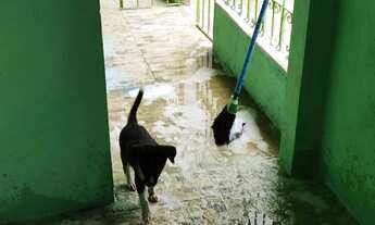 Imagem 7: Alugo casa 850 Casa com 2 dormitórios