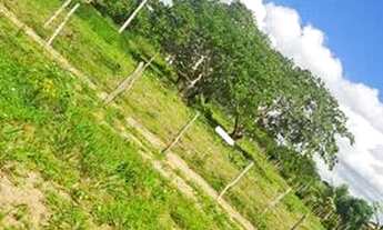 Imagem: Terreno 30x76 Povoado Casa Nova