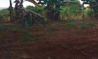 Imagem 2: Chacaras Chácara com venda por R$55.000