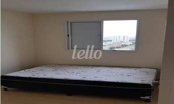 Imagem 5: São Paulo - Apartamento Padrão - Bom Retiro