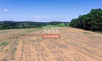 Imagem 4: Fazenda 29 Alqueires (141 hectares) Urutai - Go