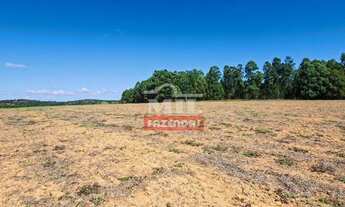 Imagem 3: Fazenda 29 Alqueires (141 hectares) Urutai - Go