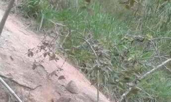 Imagem 5: Terreno à venda, 800 m² por R$ 220.000,00 - Engenho do Mato - Niterói/RJ