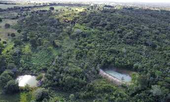 Imagem 2: Chácara 21,78 ha (4,5alqueiro) à Venda ? Divinópolis do Tocantins
