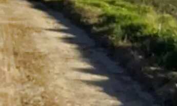 Imagem: Lotes para moradia no interior de São Paulo