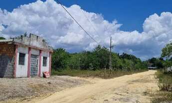 Imagem 2: Terreno na BR 174