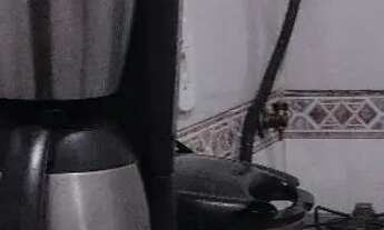 Imagem 7: Temporada ano novo na Lapa