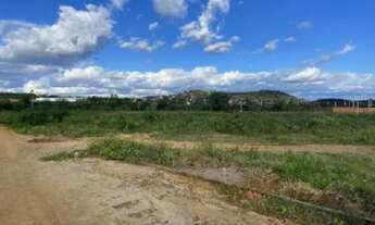 Imagem 7: Lote, Misto, Loteamento Residencial Novo Horizonte - 705m²