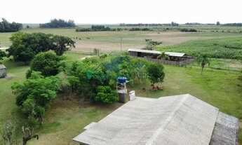 Imagem 3: Velleda oferece excelente fazenda de 46 hectares com estrutura em Viamão!