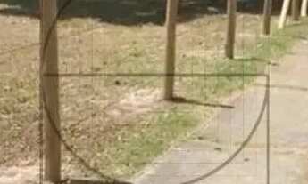 Imagem 4: Terreno à venda Amoraeville