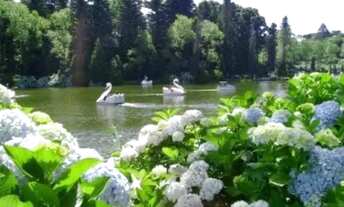 Imagem 7: Imóvel para venda com 58 metros quadrados com 1 quarto em Planalto - Gramado - RS