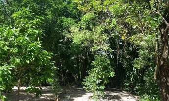 Imagem 3: Terreno a venda Terreno / lote com venda por R$60.000