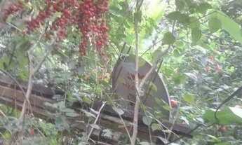 Imagem 3: Terreno à venda, 800 m² por R$ 220.000,00 - Engenho do Mato - Niterói/RJ