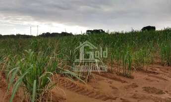 Imagem: Fazenda de 72 alqueires na cidade São Simão-SP