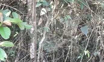 Imagem 2: Terreno à venda em Roseira - SP