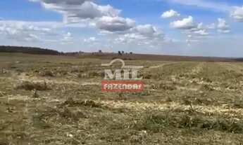 Imagem 6: Fazenda 338 Alqueires (1.635 hectares) Alexânia - GO