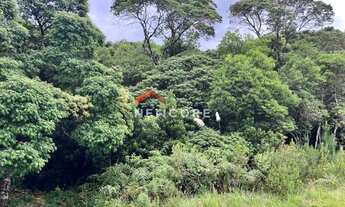 Imagem 5: Lote em Rua 16 - Colinas - São Francisco de Paula/RS