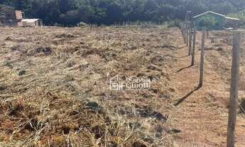 Imagem 2: Chácara com 1 dormitório à venda, 4000 m² por R$ 180.000,00 - Distrito Agroindustrial de A