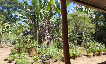 Imagem 5: Chácara com 3 dormitórios à venda, 10000 m² por R$ 290.000,00 - Zona Rural - Brasília de M