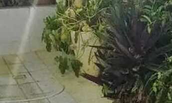 Imagem 4: CASA EM RUA PÚBLICA - SUÍSSA [26152