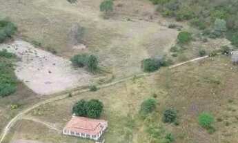 Imagem 2: Fazenda com 300 tarefas em São José da Tapera-AL