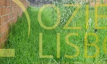 Imagem: LOTE 800m² COM 15m DE FRENTE PLANO MURADO