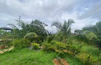 Imagem 4: Chácara na região de lagoinha