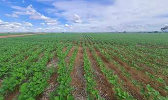 Imagem 3: FAZENDA À VENDA ESTADO DE GOIÁS (GO