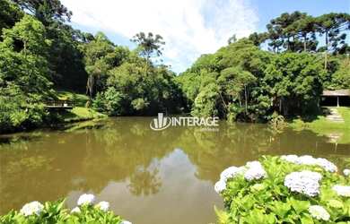 Imagem 3: Chácara com 4 dormitórios à venda, 84283 m² por R$ 2.000.000,00 - Quatro Barras - Quatro B