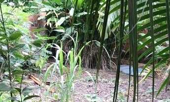 Imagem 4: Terreno - Guanabara