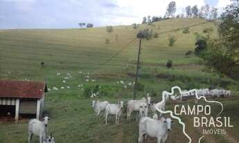 Imagem: Fazenda de 98 alqueires no Sul de Minas!