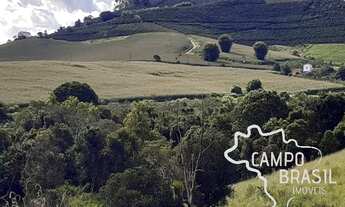 Imagem 3: Fazenda no Sul de Minas com 600mil pés de café e estrutura para leite!