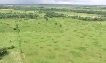 Imagem: 87 alqueires com 70 de abertura por R$2.349.000,00