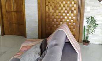 Imagem 7: Apartamento para Venda em São Bernardo do Campo, Centro, 3 dormitórios, 3 suítes, 5 banhei