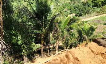 Imagem 3: TERRENO NA BEIRA DO RIO JUCU - 3,500mts2