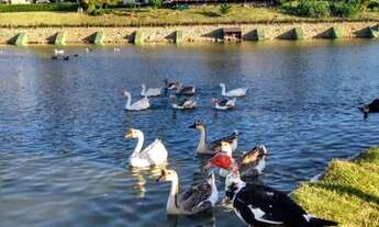 Imagem 5: Winterville Gravatá Março Vem Aproveitar Pct Final Semana RS 575(Até 6 Pessoas