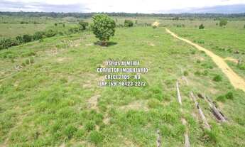 Imagem 6: 215 alqueires em Machadinho-RO