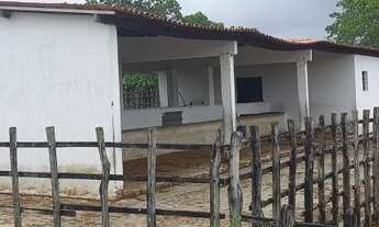 Imagem 6: Propriedade Rural 12 hectares - Guarabira/Cuitegi