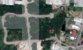 Imagem 2: Bento Gonçalves - Terreno Padrão - Borgo