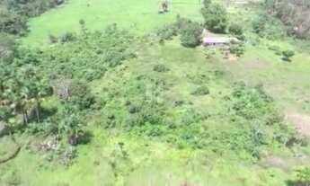 Imagem 3: R$2 milhões de reais fazenda a 80 km de Castanhal 50 alqueires