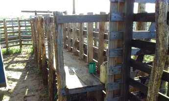 Imagem 2: Fazenda com 150 hectares em cachoeira do sapo na BR.304