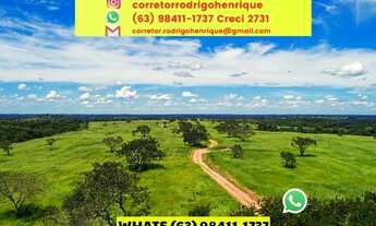 Imagem: Fazenda 128 alqueires dupla aptidão em