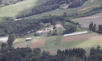 Imagem 2: CHÁCARA 5 ALQUEIRES NA LAPA - PR