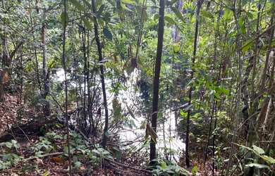 Imagem 2: Chácara de 4.7 hectares. 23 km de Campo Grande