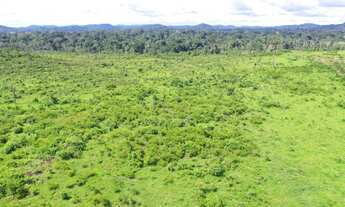 Imagem 4: Fazenda para venda com 942 alqueires, em São Falix do Xingú - PA
