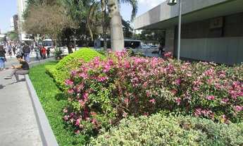 Imagem 6: Excelente conjunto no melhor da Faria Lima - 02 vagas