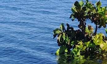 Imagem 6: Chacaras e lotes as margens do lago de serra da mesa