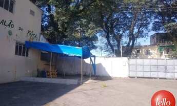 Imagem 6: São Bernardo do Campo - Terreno Padrão - Pauliceia