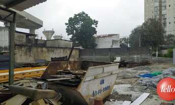 Imagem 3: São Paulo - Terreno Padrão - Vila Prudente