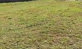 Imagem 3: Terreno à venda, 432 m² por R$ 784.000,00 - Vila do Golf - Ribeirão Preto/SP